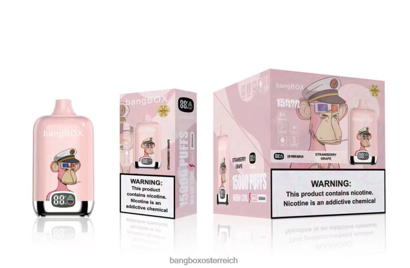 Bang Box Kaufen - Bang Box 15000 Züge Erdbeertraube