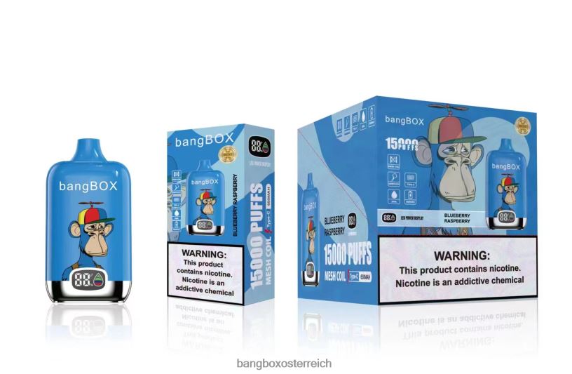 Bang Box Preis - Bang Box 15000 Züge Blaubeer-Himbeere