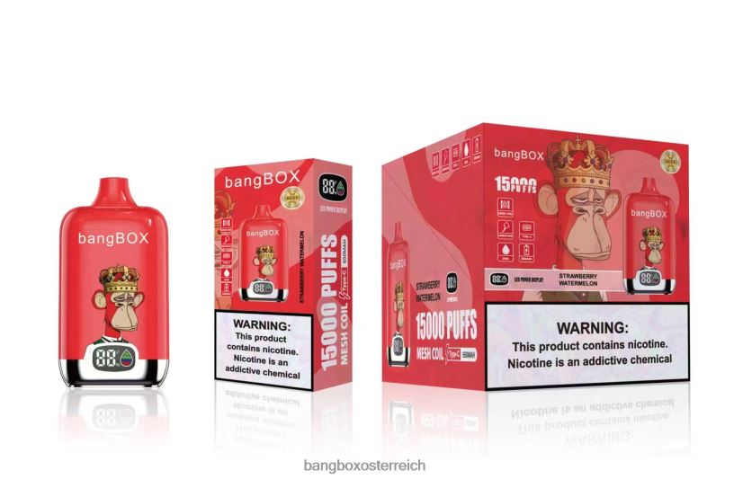 Bang Box Vape - Bang Box 15000 Züge Erdbeerwassermelone