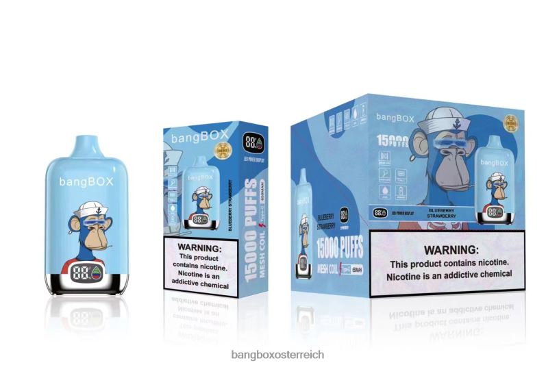 Bang Box Vape Kaufen - Bang Box 15000 Züge Blaubeere Erdbeere